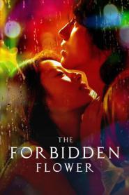 The Forbidden Flower บุปผาแห่งรัก ซับไทย (ครบทุกตอน) (2026)