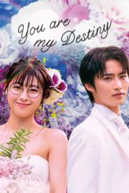 You Are My Desting พรหมลิขิตรักไม่รู้จบ พากย์ไทย (ครบทุกตอน) (2026)