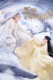 Miss The Dragon รักนิรันดร์ ราชันมังกร พากย์ไทย (ครบทุกตอน) (2026)