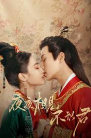 My Decoy Bride เจ้าสาวข้าเป็นนักฆ่าอันดับหนึ่ง (2023) พากย์ไทย