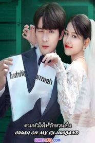 Crush on My Ex-husband ตามหัวใจให้รักหวนคืน (2023) ซับไทย