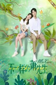 A Different Mr. Xiao ซับไทย (เต็มเรื่อง) (2023)