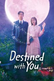 Destined With You รักสุดวิสัย หัวใจไม่ให้เลี่ยง (2023) ซับไทย