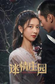 Miss Mystery ปริศนาจำแลงรัก (2023) ซับไทย