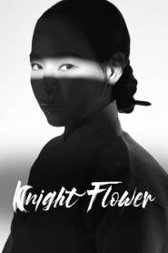 Knight Flower ซับไทย (ครบทุกตอน) (2024)