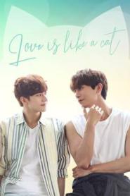 Love is Like a Cat รักนี้ หมาหรือแมว ซับไทย EP.1-12 END (2026)