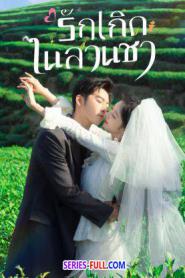 Love in the Tea Garden รักเกิดในสวนชา (2026) ซับไทย