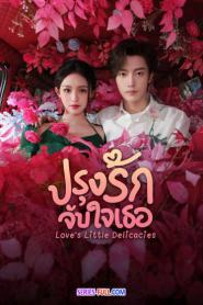Love’s Little Delicacies ปรุงรักจับใจเธอ (2026) ซับไทย