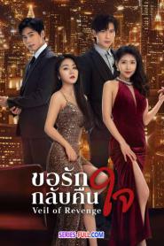 Veil of Revenge ขอรักกลับคืนใจ (2024) ซับไทย