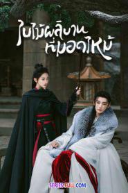 Kill Me Love Me ใบไม้ผลิบานที่มอดไหม้ ซับไทย (จบเรื่อง) (2024)