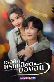 You Are My Destiny เธอคือพรหมลิขิตของฉัน ซับไทย (จบเรื่อง) (2026)