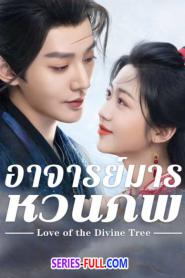 Love of the Divine Tree อาจารย์มารหวนภพ (2026) พากย์ไทย