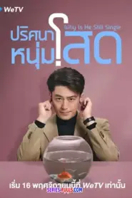 Why Is He Still Single ปริศนาหนุ่มโสด (2025) ซับไทย