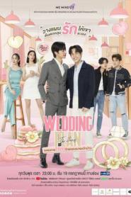 Wedding Plan แผนการรักร้ายของนายเจ้าบ่าว (เต็มเรื่อง) (2026) พากย์ไทย