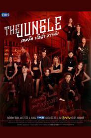 The Jungle เกมรัก นักล่า บาร์ลับ (2023) พากย์ไทย