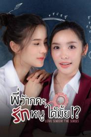 Love Senior พี่ว้ากคะ รักหนูได้มั้ย (2023) พากย์ไทย