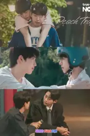 Peach Trap (2025) ซับไทย