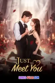 Just To Meet You บังเอิญพบก็เผลอรัก (2026) ซับไทย