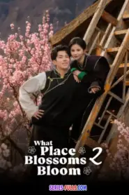 What Place Blossoms Bloom 2 (2026) ซับไทย