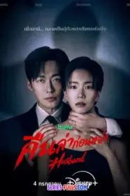The Husband คืนล่าก่อนหย่า (2026) ซับไทย